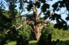 may2010443_small.jpg
