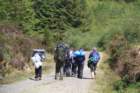 may2010496_small.jpg