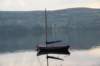 Killaloe/may2010122_small.jpg