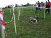 dscf0064_small.jpg